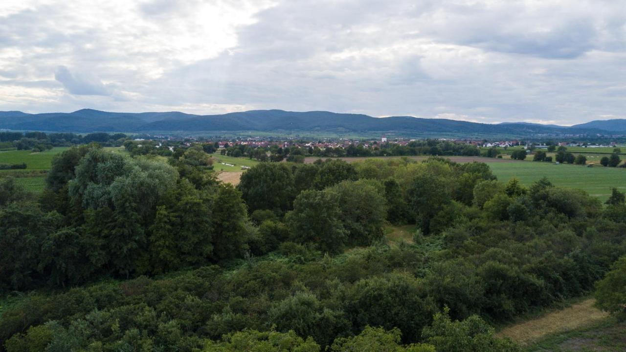 Ferienhaus Lenchen Niederkirchen bei Deidesheim Dış mekan fotoğraf